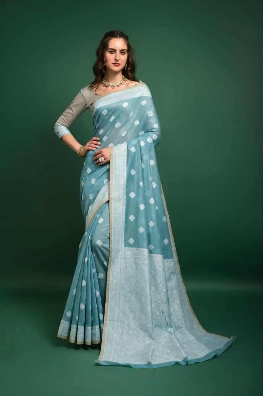 Baby Blue Lucknowi Chikankari  Saree