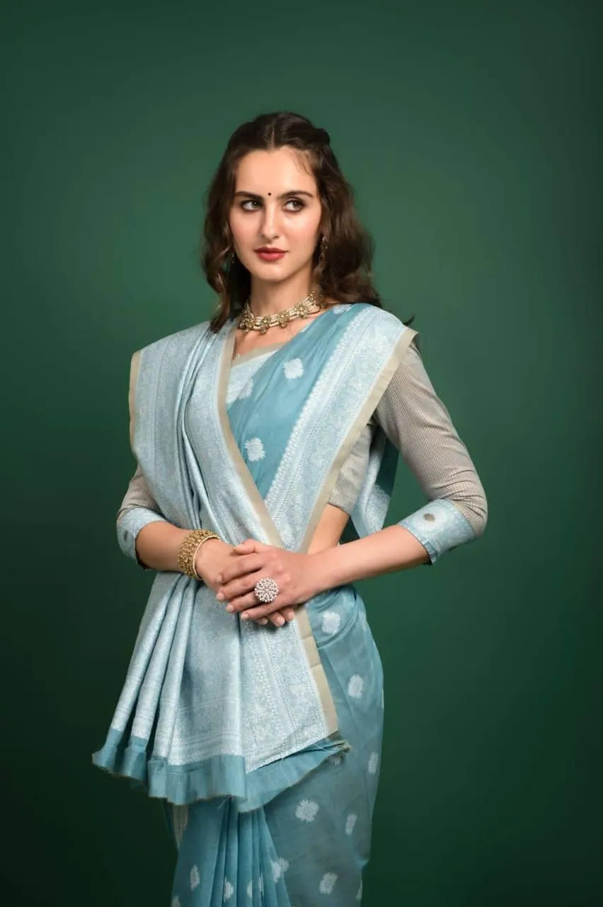 Baby Blue Lucknowi Chikankari  Saree