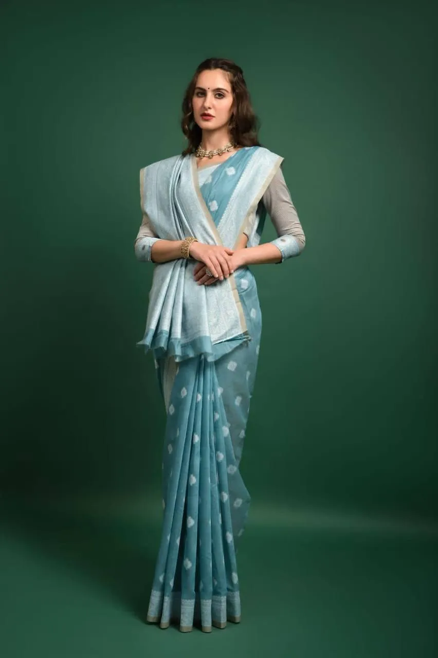 Baby Blue Lucknowi Chikankari  Saree