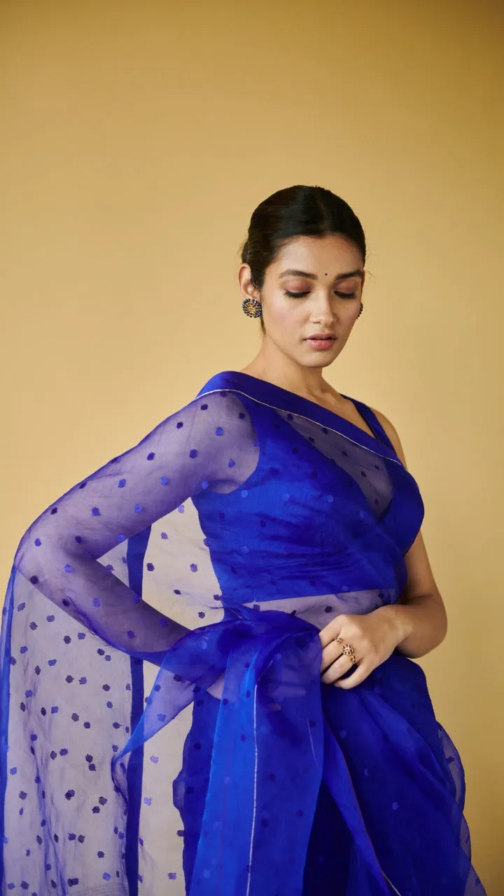 Blue Wildflower Meadow jamdani dots silk saree